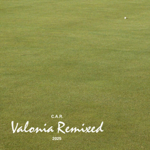 Valonia Remixed album art
