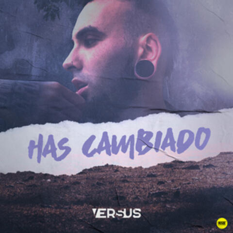 Has Cambiado album art