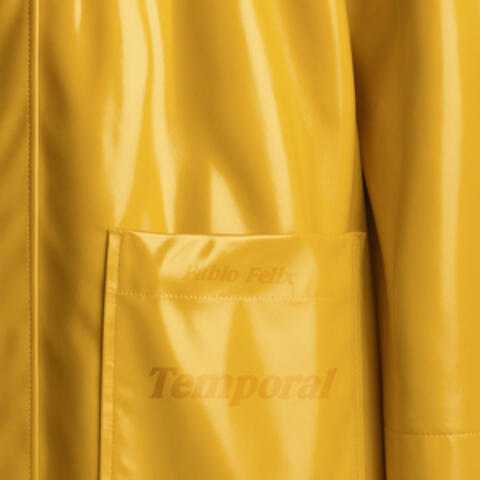 Temporal album art