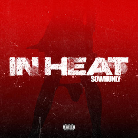 In Heat album art