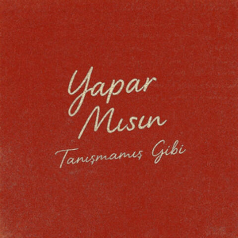 YAPAR MISIN? album art