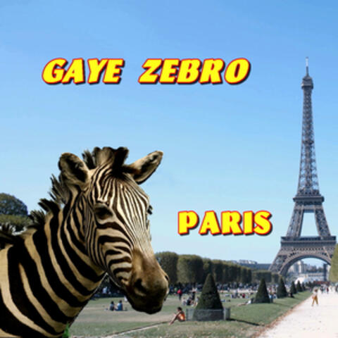 Paris album art