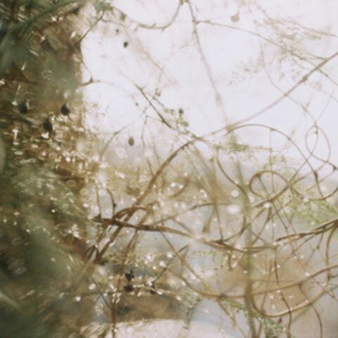 Anzuelo album art