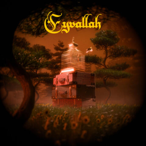 Eyvallah album art