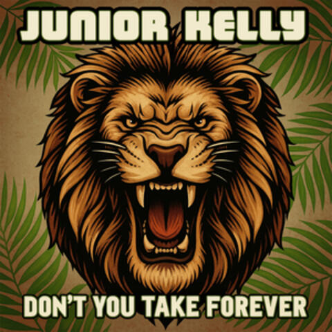 Don't You Take Forever album art