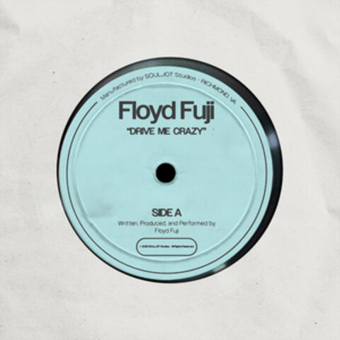 DRIVE ME CRAZY album art
