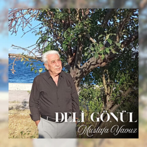 Deli Gönül album art