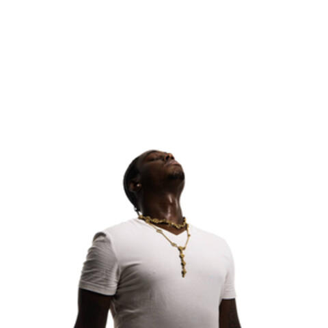 PALI album art