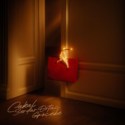 Göçebe album art
