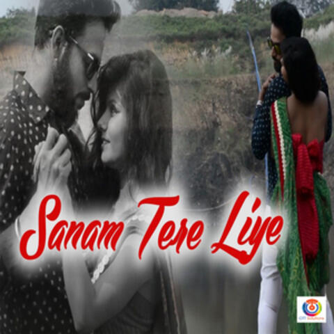 Sanam Tere Liye (Original Motion Picture Soundtrack) album art