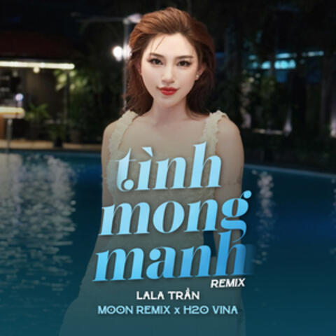 Tình Mong Manh album art