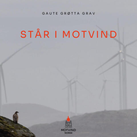 Står i Motvind album art