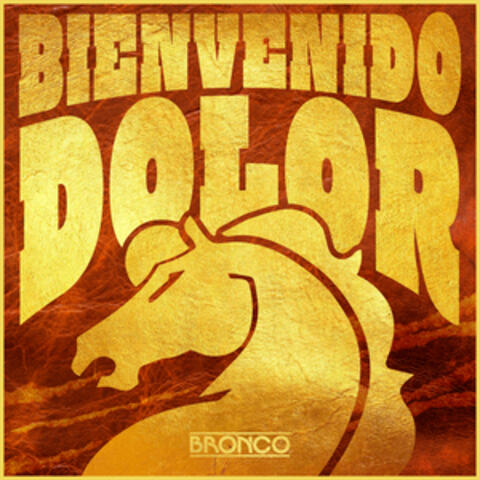 Bienvenido Dolor album art
