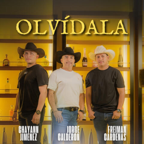 Olvídala album art