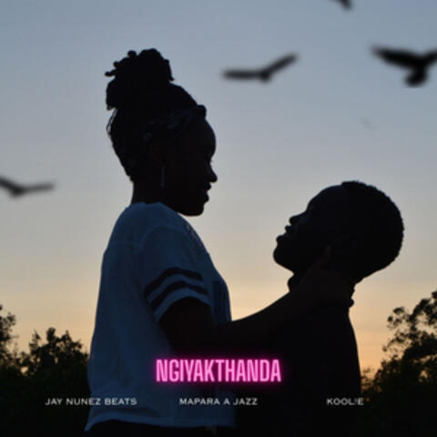 Ngiyakthanda album art