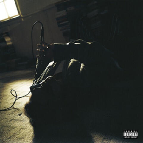 Fallin Into You album art