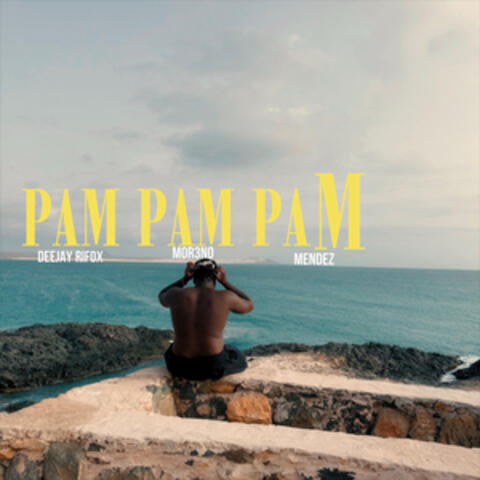 PAM PAM PAM album art