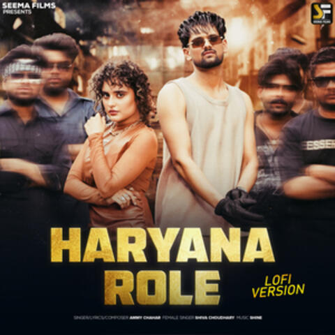 Haryana Role (LoFi) album art