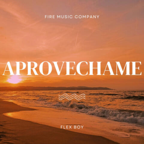 Aprovechame album art