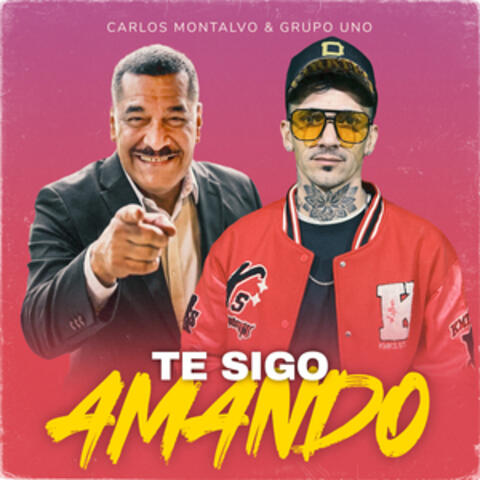 Te sigo amando album art