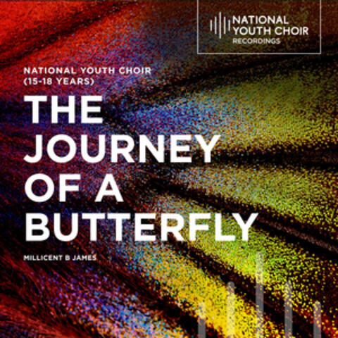 Millicent B. James: The Journey of a Butterfly album art