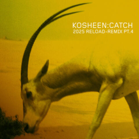 Catch album art
