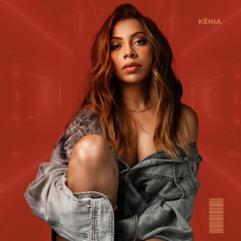 Vício album art