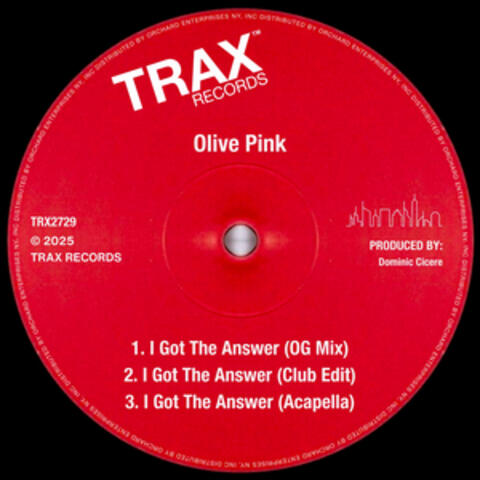 I Got The Answer album art