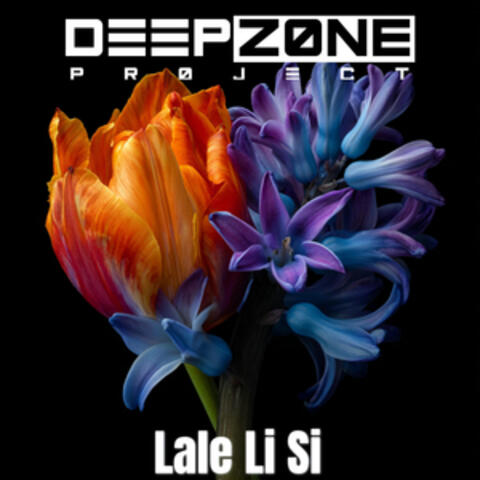 Lale Li Si album art