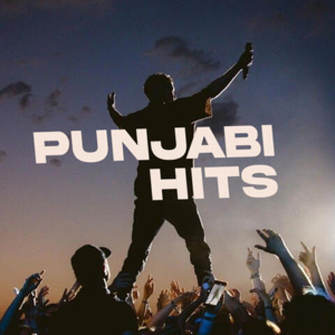 Punjabi Hits album art
