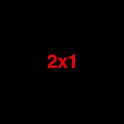 2X1 album art