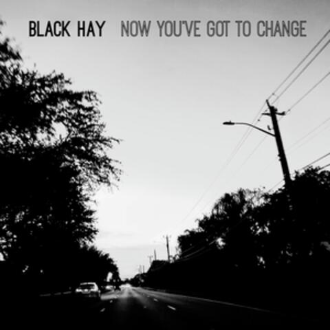 Now You've Got To Change album art
