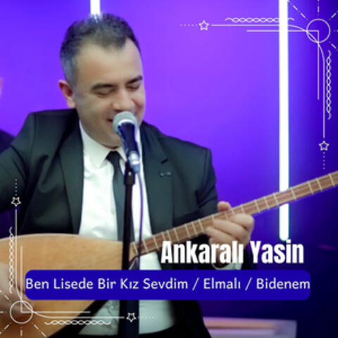 Ben Lisede Bir Kız Sevdim / Elmalı / Bidenem album art