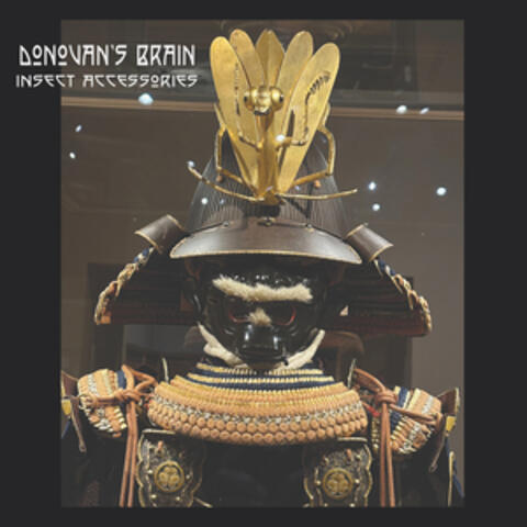Insect Accessories album art