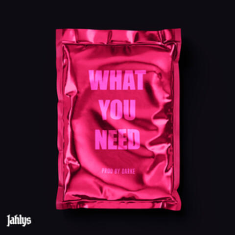 What You Need album art