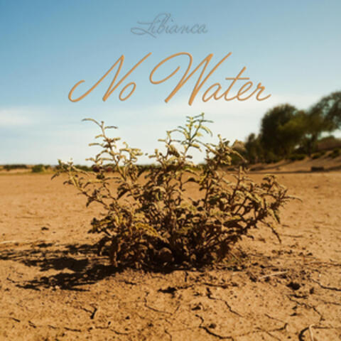No Water album art