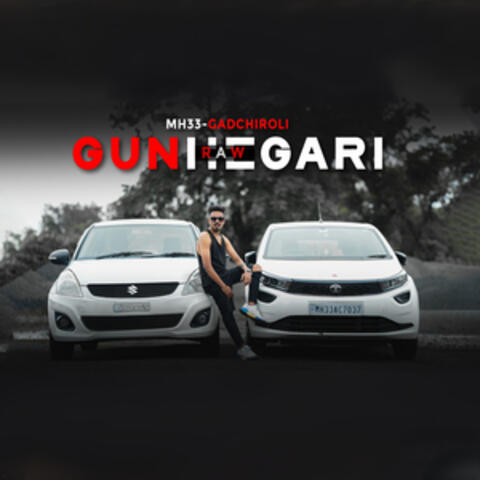 Gunhegaari album art