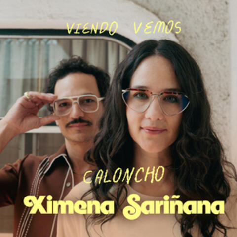 Viendo Vemos album art