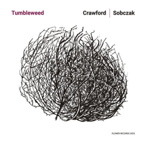 Tumbleweed album art