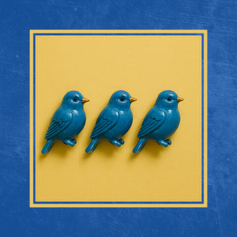 Bluebirds album art