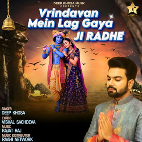Vrindavan Mein Lag Gaya ji Radhe album art