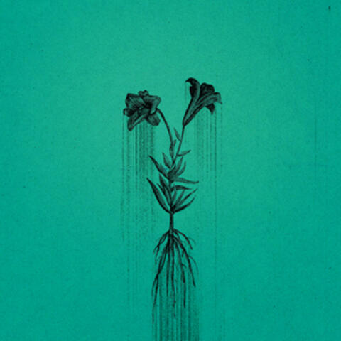 The Mercy of The Hagetisse album art