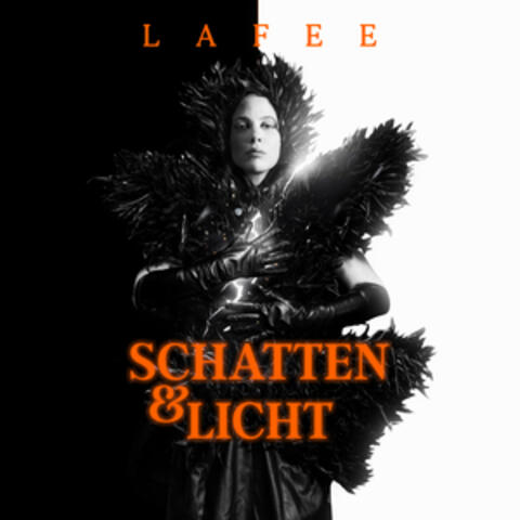 Schatten & Licht album art