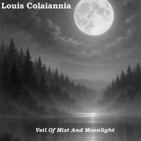 Veil of Mist and Moonlight album art