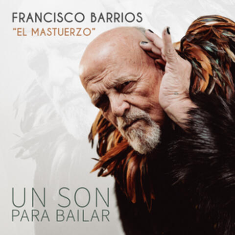 Un Son para Bailar album art