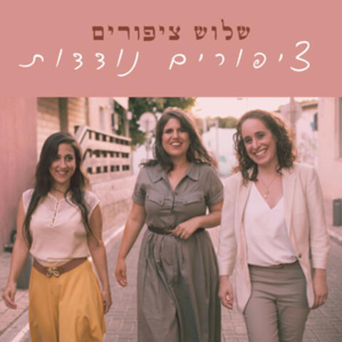 ציפורים נודדות album art