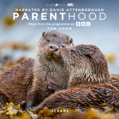 Parenthood: Oceans (Music From The Programme On BBC) album art