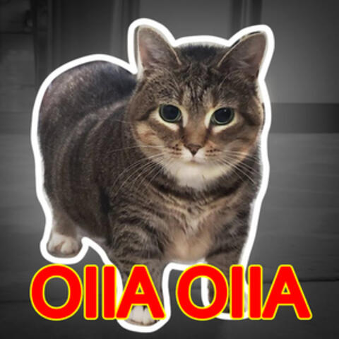 OIIA OIIA album art