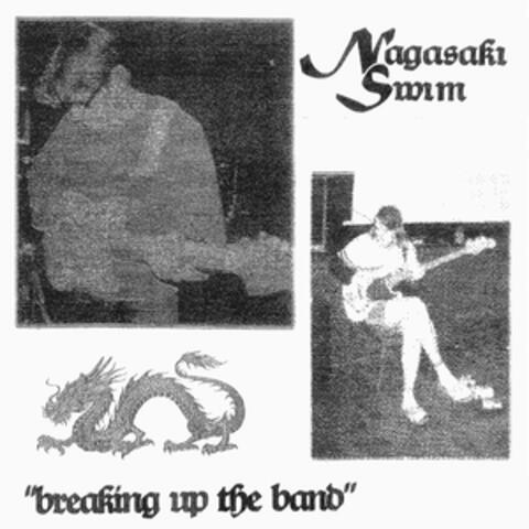 Breaking Up The Band album art