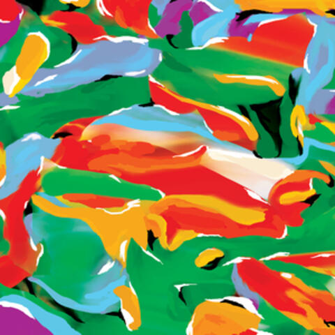 Birds of Paradise album art